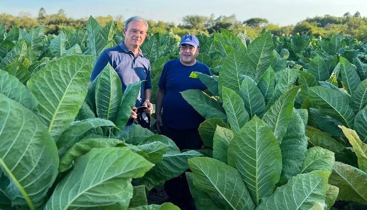 Agricultura promueve la aplicación de tecnología en el riego del tabaco en Corrientes