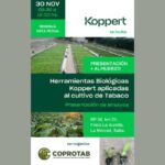 ¡Te invitamos a la presentación de ensayo sobre las herramientas biológicas Koppert aplicadas al cultivo de tabaco!