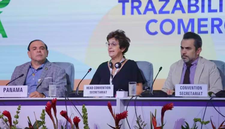 Concluye en Panamá la reunión mundial contra el contrabando de tabaco con “medidas decisivas”