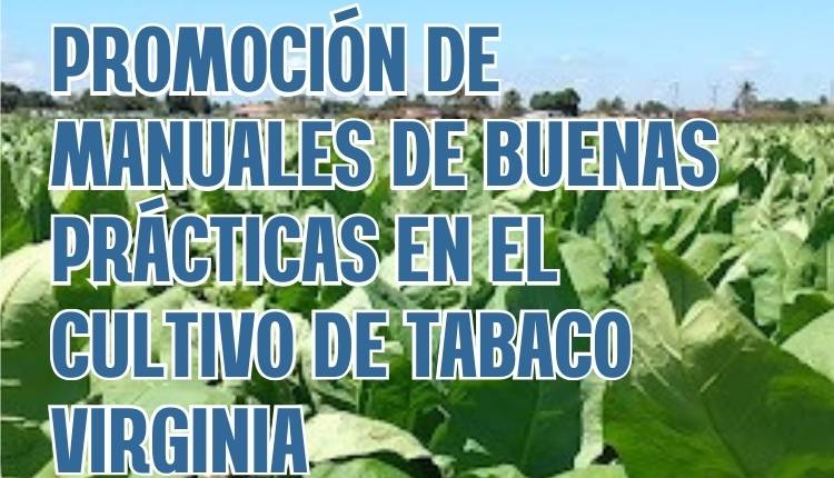 Promoción de manuales de buenas prácticas en cultivo de tabaco en Rosario de Lerma