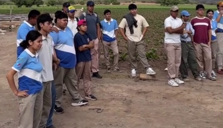 La Cámara del Tabaco de Salta cerró el ciclo de capacitaciones para estudiantes de escuelas agrícolas