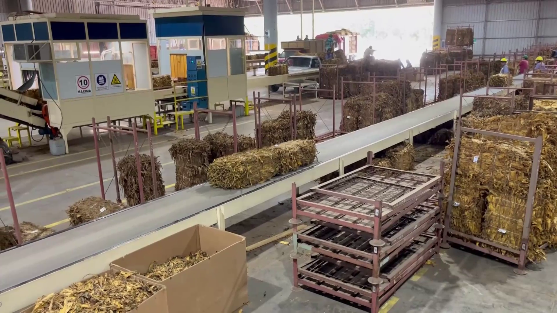 Miguel Testa Detalla la Operatoria del Acopio en Jujuy y las Exigencias del Mercado Chino