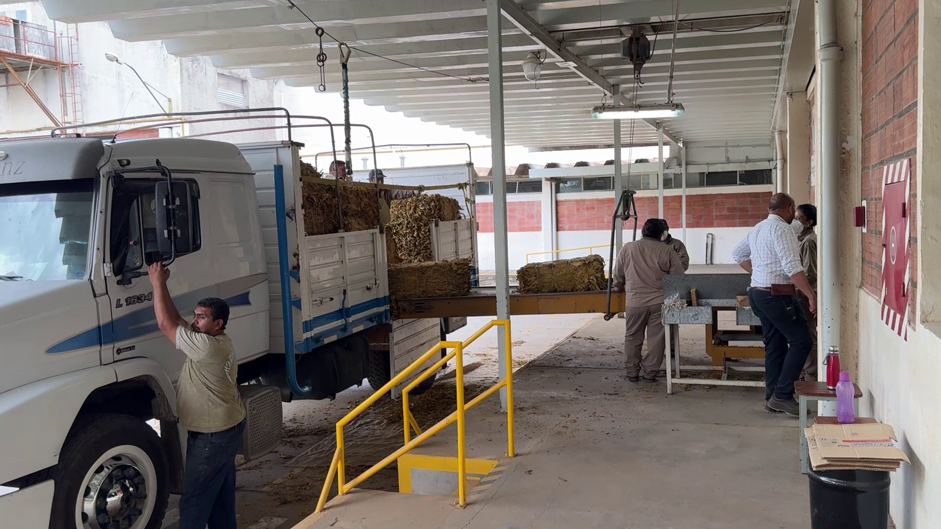 Coprotab: El Acopio 2026 Funciona a Pleno y Piden Extremar Cuidados por la Humedad