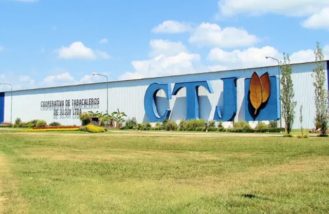 Jujuy Unifica su Industria: La Cooperativa Tabacalera Procesará el 100% de la Cosecha Trazable