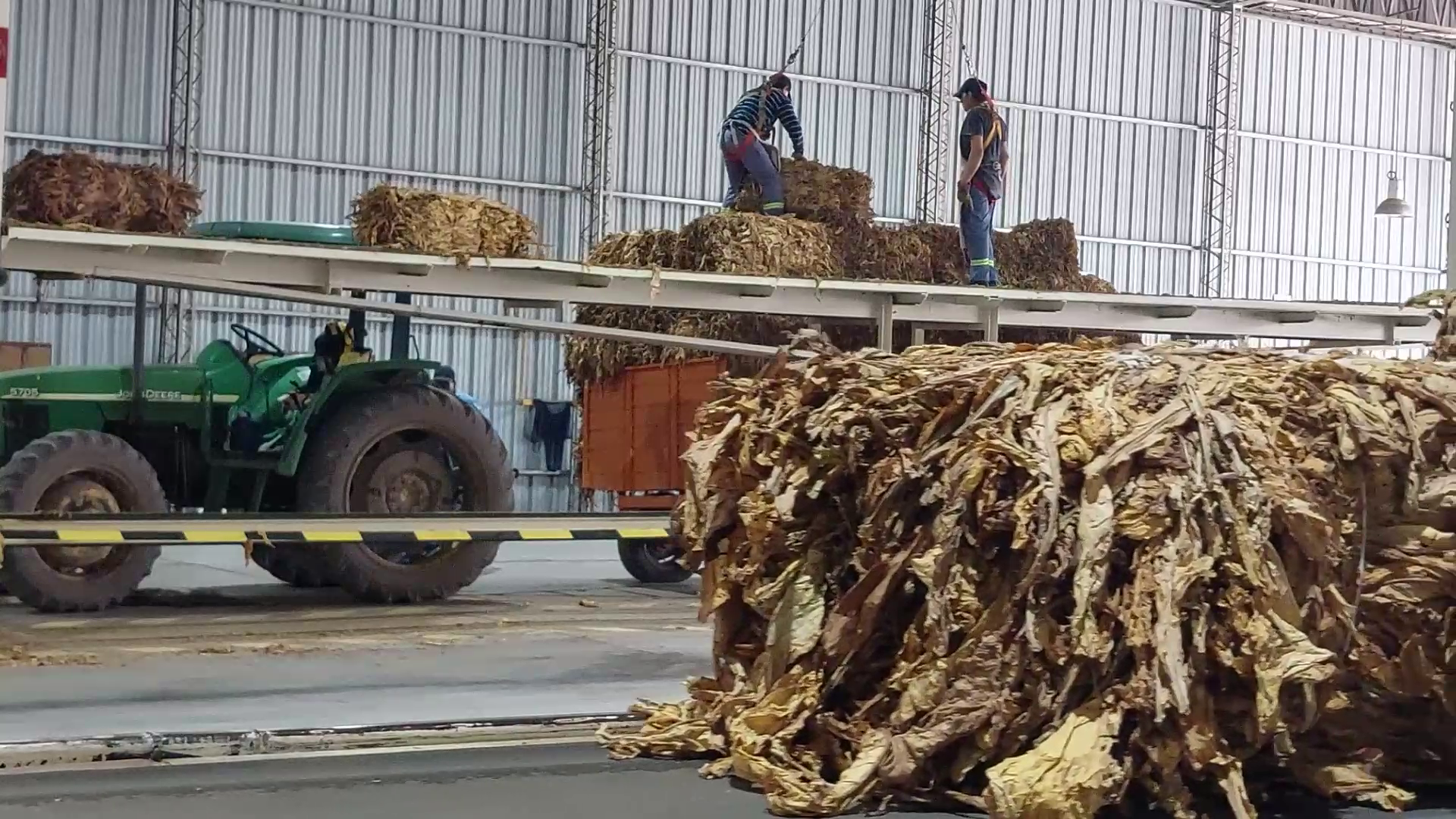 Alliance One con su programa de acopio en la Cooperativa de Jujuy: Logística Eficiente y Calidad Superior