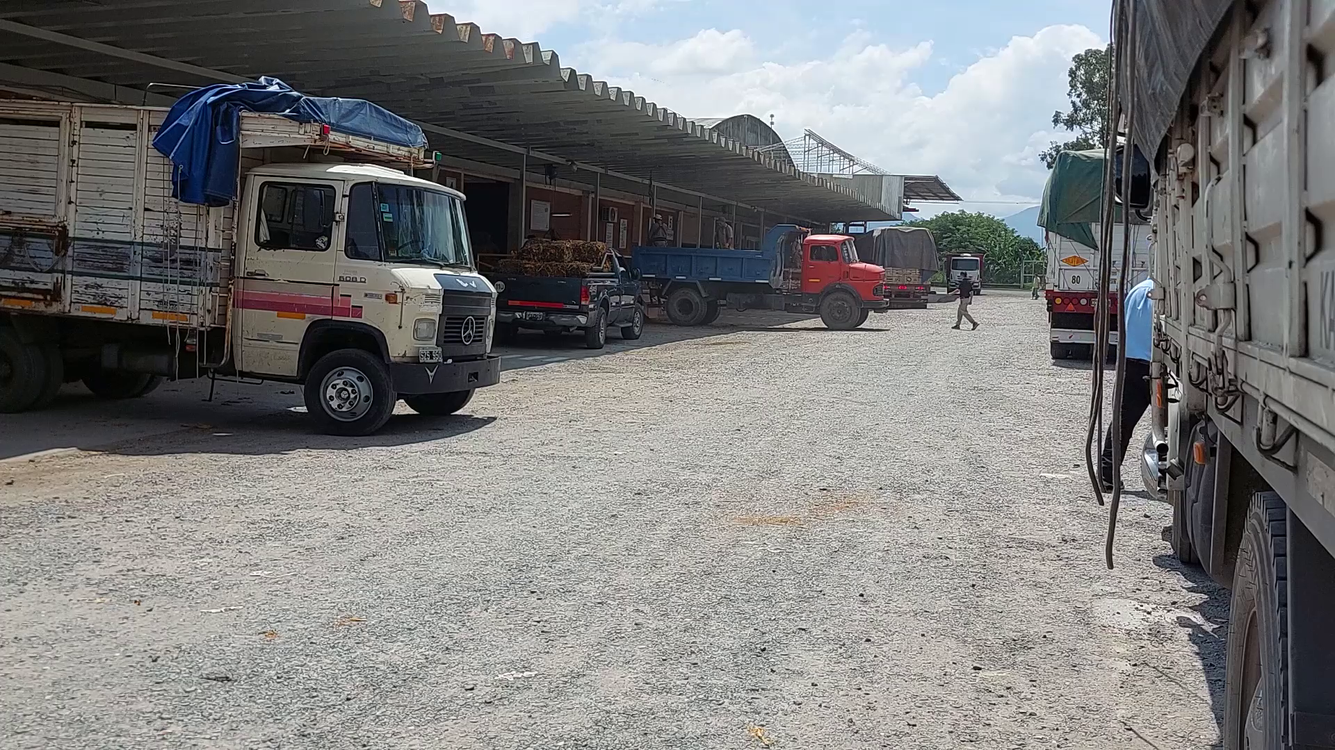 Coprotab Alcanza el Pico de Acopio y Refuerza el Sistema de Turnos ante Feriados