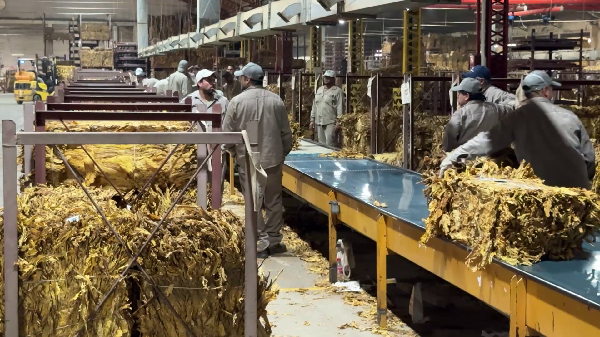 Coprotab Refuerza la Planificación del Acopio y se Prepara para la Negociación de Precios