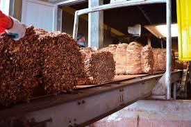 Tabacaleros Autoconvocados Protestan en Alem y Reclaman Volver a Negociar Precios