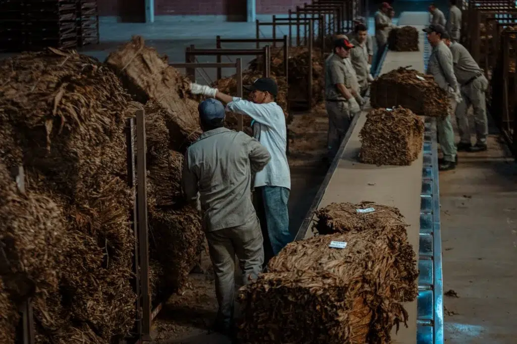 Productores de Misiones Piden Intervención Urgente por el Bloqueo en la CTM