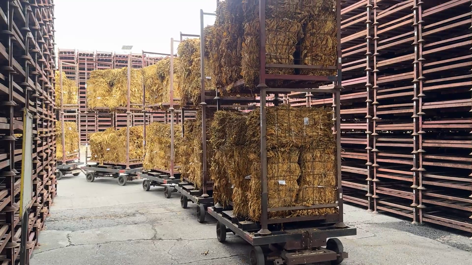 Miguel Testa Alertó sobre el Sobrestock Mundial y la Baja de la Demanda de China