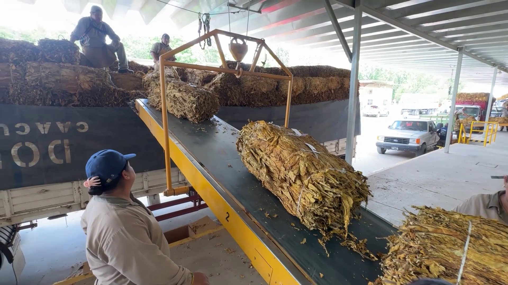 Salta y Jujuy: Acuerdan un 35% de Aumento para la Producción de Tabaco Virginia