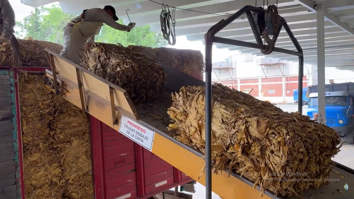 Jujuy: La Cooperativa de Tabacaleros Inició el Pago de la Producción con el Nuevo Precio