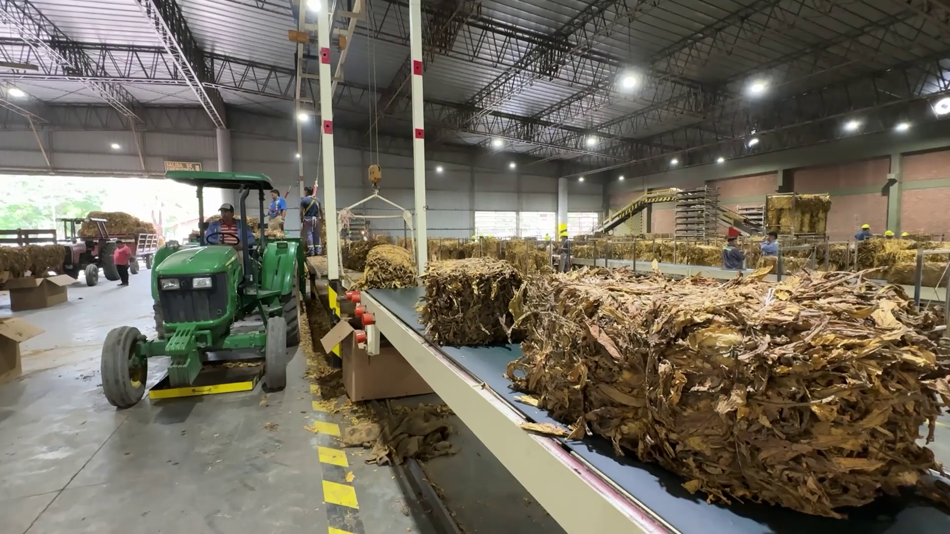 Mercado Internacional del Tabaco: La Cooperativa de Jujuy analiza el impacto de la baja de China y los desafíos de la nueva campaña
