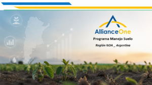 Ganancia productiva y ambiental: El plan de Alliance One para recuperar los suelos tabacaleros del NOA