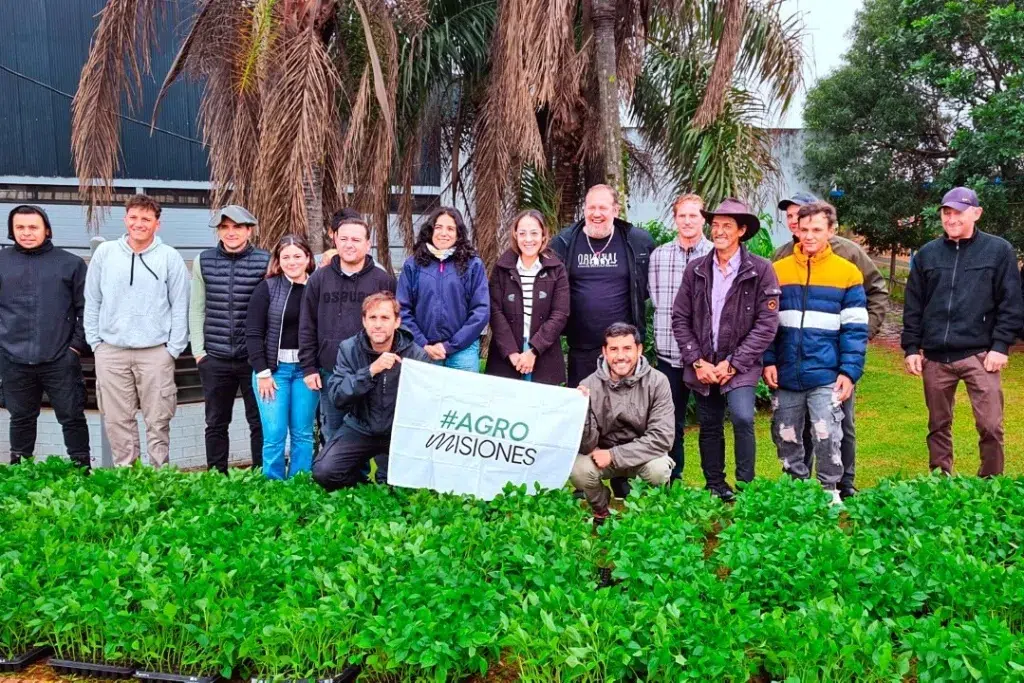 Misiones: 55 Familias Tabacaleras de 18 Municipios se Suman a la Producción de Pimiento