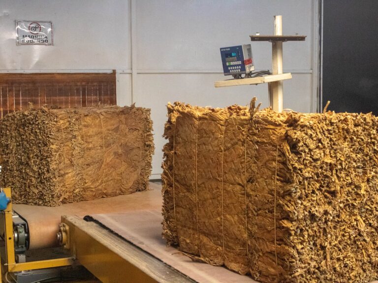 Corrientes: El IPT Concluyó la Acreditación de Fondos por Sobreprecio a Tabacaleros