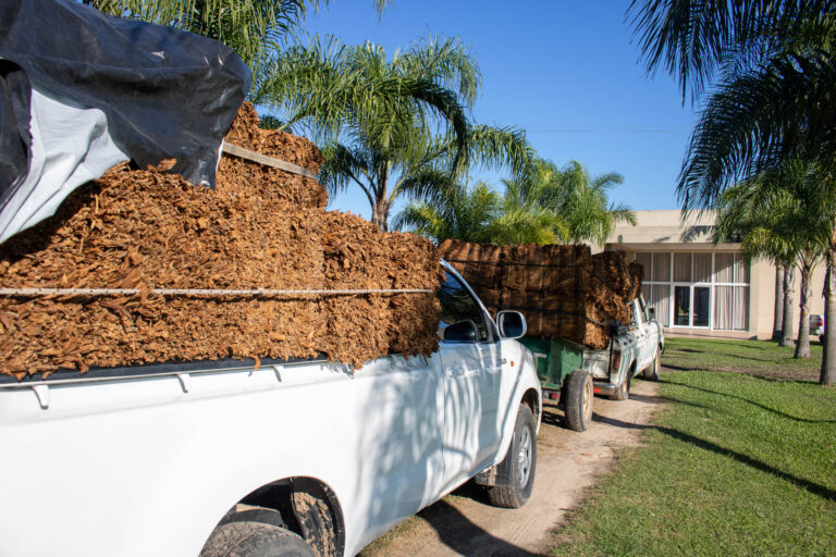 creditaron el pago del sobreprecio por acopio a productores tabacaleros