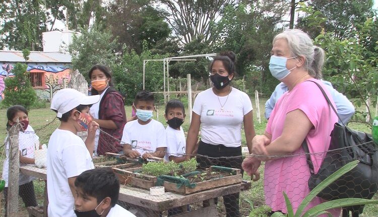 Los programas sociales en Salta, una iniciativa que busca expandir la SENAF 3